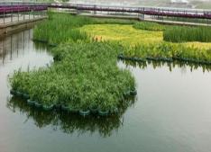 旅游區(qū)景觀(guān)湖水凈化工程 